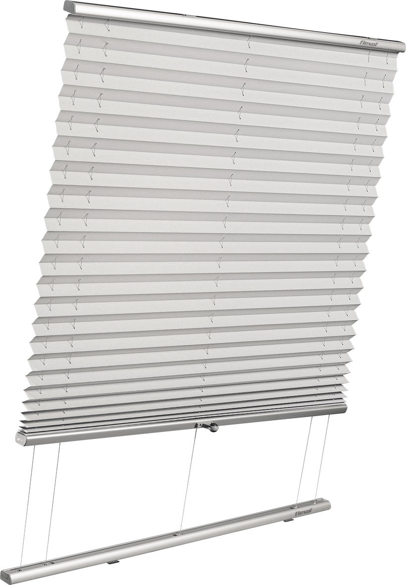 circunferencia_universal