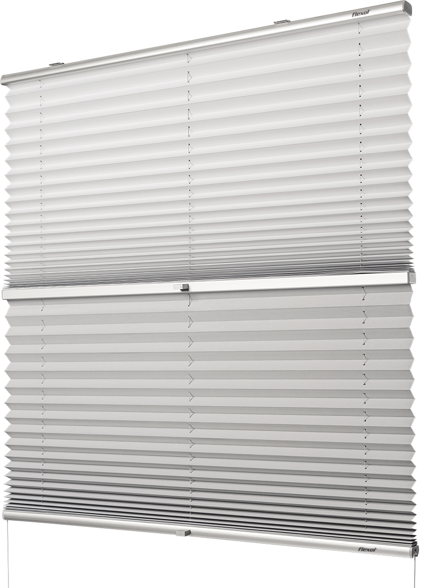 circunferencia_universal