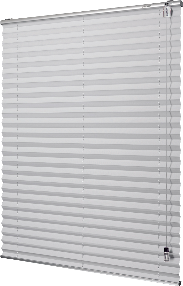 circunferencia_universal