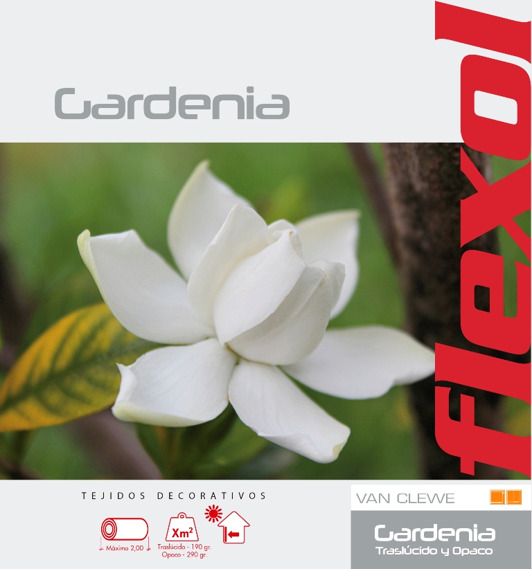 Gardenia